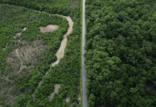 Desmatamento fez Brasil perder, em 40 anos, área natural maior que extensão da Bolívia, revela MapBiomas