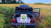 BPFRON apreende veículo carregado com agrotóxicos