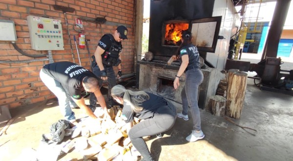 Polícia Civil incinera drogas apreendidas