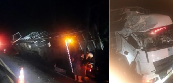 Caminhão carregado com frangos vivos tomba na PR-281