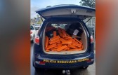 Motorista fura bloqueios, bate em veículos e acaba preso com carro cheio de drogas em SC