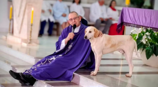 “Cãoroinha?”: cachorro vira presença nas missas e encanta fiéis no Paraná