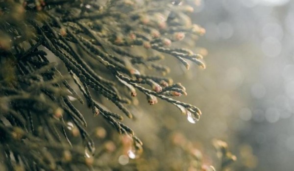Temperatura cai com chegada da chuva e frio se intensifica em SC