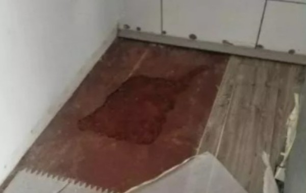 Casal que matou e enterrou filha recém-nascida na cozinha é condenado a 58 anos de prisão