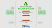 Prefeitura divulga cronograma para recolhimento de galhos e podas