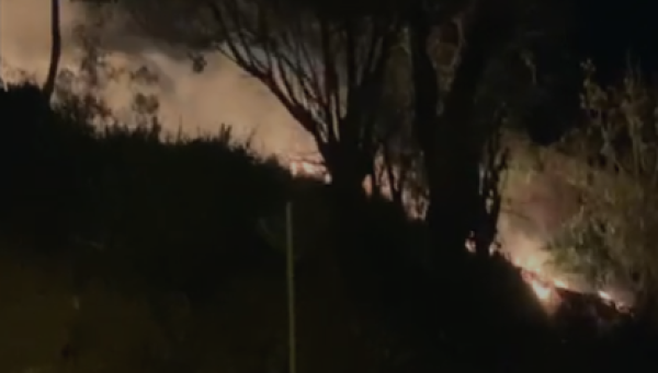 Bombeiros combatem três incêndios em vegetação em 3 horas