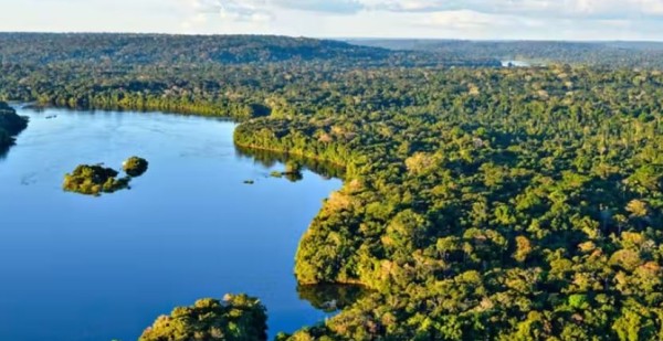 Noruega doa R$ 245 milhões para Fundo da Amazônia
