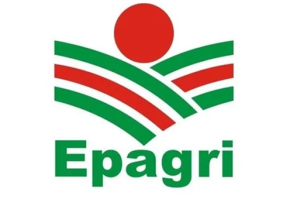 Analista da Epagri aponta baixo impacto na venda de carne com tarifa de Trump