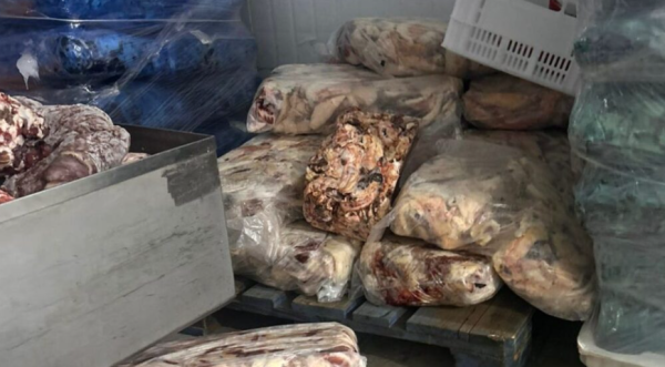 Operação fecha frigorífico e lacra depósito após suspeita de fraude alimentar no Oeste de SC