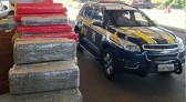 Polícia apreende mais de 90 kg de maconha em porta-malas de carro na BR-282