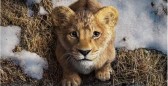 Disney libera o primeiro trailer de Mufasa: O Rei Leão; assista