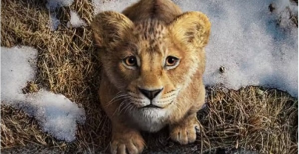 Disney libera o primeiro trailer de Mufasa: O Rei Leão; assista