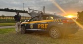 Polícia Rodoviária Federal apreende 20 kg de maconha na BR-163
