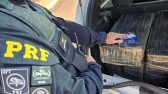 PRF apreende 384 kg de maconha na BR-369