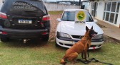 BPFRON prende jovem e apreende cocaína durante operação