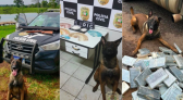 Polícia Civil se despede de Colt, cão policial que marcou história