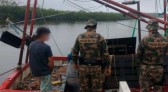 Pescadores são flagrados com 400 quilos de camarão de pesca ilegal em Barra do Sul