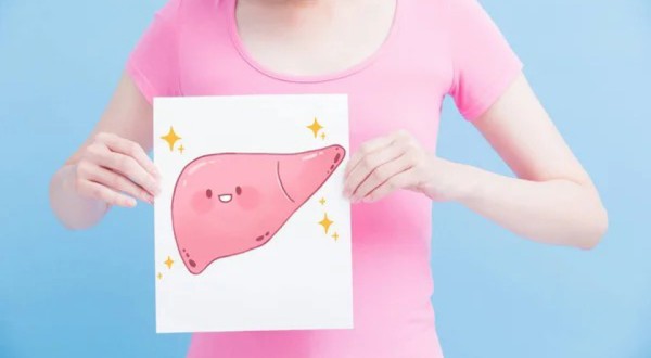 Fígado em forma: saiba como eliminar a gordura no órgão