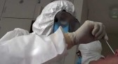 OMS pede colaboração para investigar origens do novo coronavírus