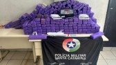 Mais de 170 kg de maconha e entorpecentes são apreendidos em Santa Catarina
