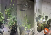 Incêndio em hotel revela plantação de maconha escondida em um dos quartos em SC