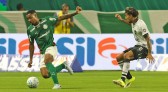 Palmeiras vence o Botafogo no Allianz e amplia invencibilidade como mandante