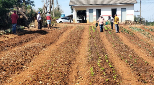 Usuários do CAPS participam de atividade na horta terapêutica