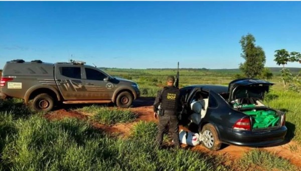 Operação conjunta entre DOF e Denarc do PR resulta na apreensão de quase 500 quilos de drogas