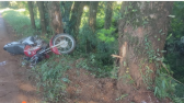 Motociclista colide com árvore e fica gravemente ferido