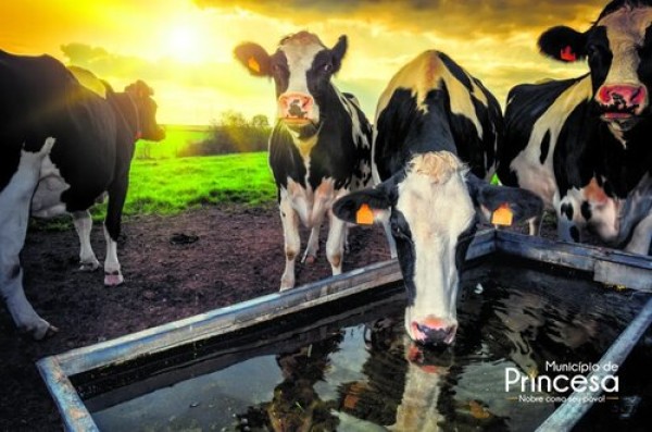 Falta de chuvas regulares causa desabastecimento de propriedades rurais