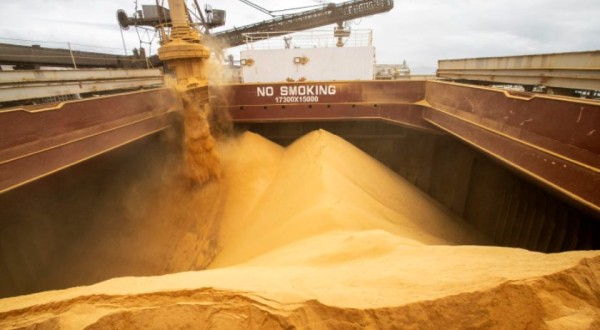 Exportações do Paraná aumentam 11,7% nos primeiros oito meses de 2023