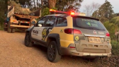 Homem morre atingido por árvore no interior de Pinhal de São Bento