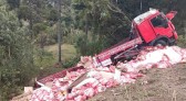 Saída de pista seguida de capotamento é registrada em Santa Catarina