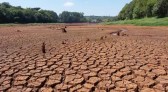 SC registra mais chuva em fevereiro, mas estiagem ainda castiga cidades do Oeste