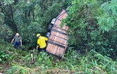 Cavalos ficam presos após trailer desprender de camionete e cair em ribanceira na BR-282