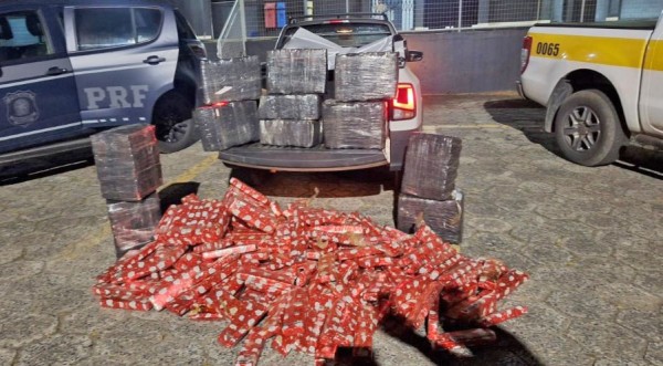 Mais de 350 kg de maconha são apreendidos durante operação conjunta em Santa Catarina