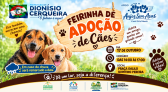 Feirinha de adoção de cães do Anjos Sem Asas, do canil Cris Muniz, será realizada no dia 17 de outubro