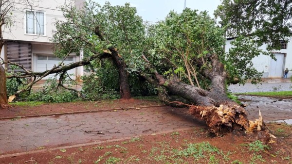 Forte vendaval atinge Capitão Leônidas Marques e Realeza