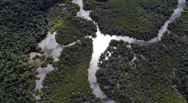 Desmatamento na Amazônia caiu 66% em julho, mês de alta destruição