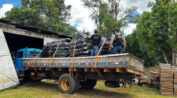 PF prende estrangeiro por contrabando de cera de abelha na fronteira com a Argentina