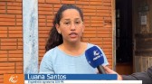 IDR Paraná promove eventos técnicos sobre cultivo de morango e bioinsumos