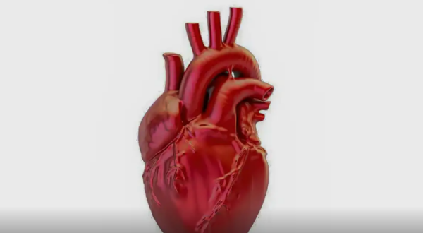 Brasil registra uma morte por doença cardiovascular a cada 72 segundos