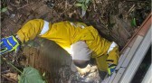 Bombeiros resgatam cachorro que caiu em poço de quatro metros