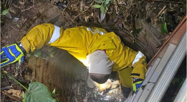 Bombeiros resgatam cachorro que caiu em poço de quatro metros