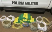 Adolescente é flagrada com mais de 40 kg de maconha em ônibus durante operação Tiradentes