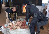Polícia Civil incinera 785 kg de drogas