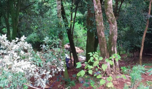 Motorista morre após carro sair da pista e cair em ribanceira no Oeste