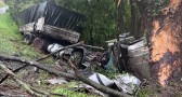 Caminhão sai da pista, colide com árvore e tomba na BR-163