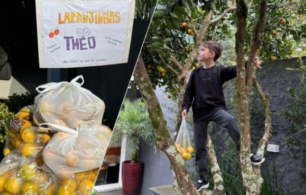 Criança distribui laranjas a vizinhos e transforma gesto simples em lição de gentileza em Ponte Serrada