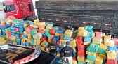 PRF contabiliza 13 toneladas de maconha apreendidas na BR 101 em SC